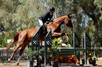 Sienna_Svs_(823)_20241011_0219