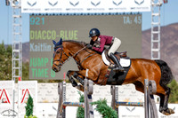 Diaccoblue_(921)_20241010_0351