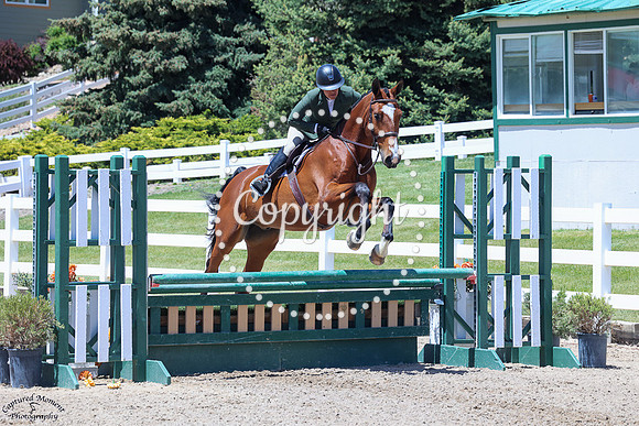 Cazador_Wh_(495)_20250516_1532