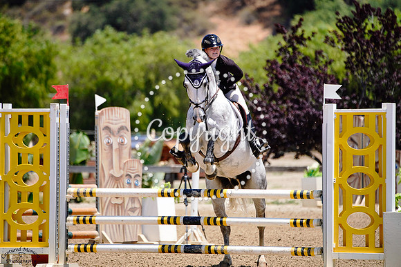 Llandough_(866)_20250604_0456