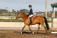 Calandra_(316)_20210321_0020