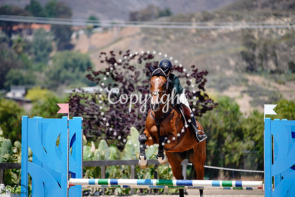 Cabaliero_(1000)_20250604_0664