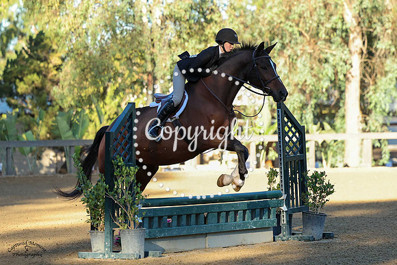 Avita_(1202)_20241010_3147