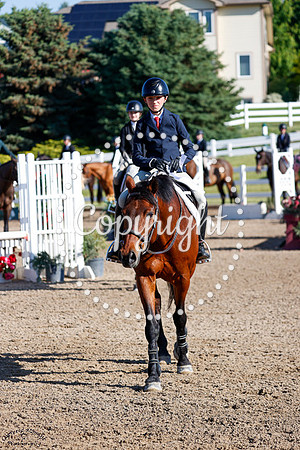 D_Lascivo_(1900)_20250620_2943