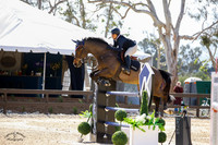 Cooper_(418)_20210421_1232