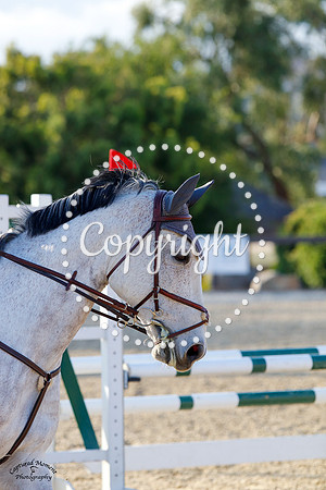 Boulders_Hudson_(701)_20210422_3231