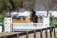 Paddington_(415)_20210423_5816