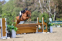 Twinkle_Toes_(331)_20210423_5394
