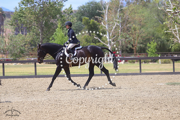 Lennox_Rw_(267)_20210423_5483