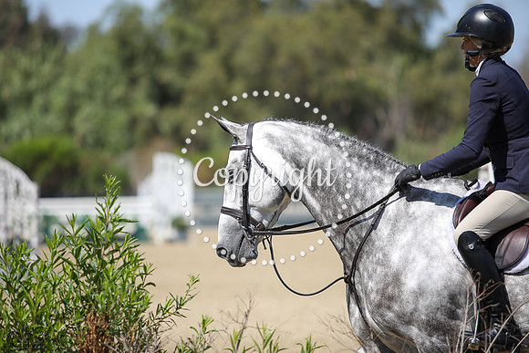 Copyright_(560)_20250717_1386
