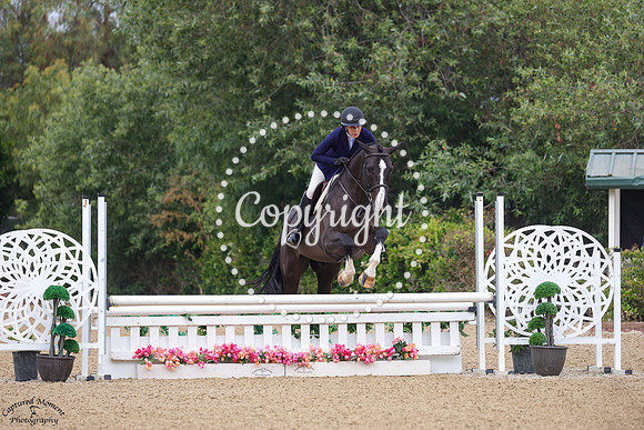 Tinus_Van_De_Laarse_Heide_Z_(1046)_20250627_0069