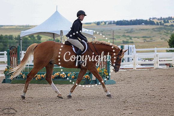 Gold_Standard_Z_(709)_20250717_0221