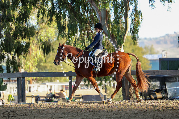 Butterscotch_(1354)_20241019_0902