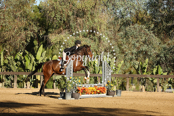 Avita_(1202)_20241009_0591