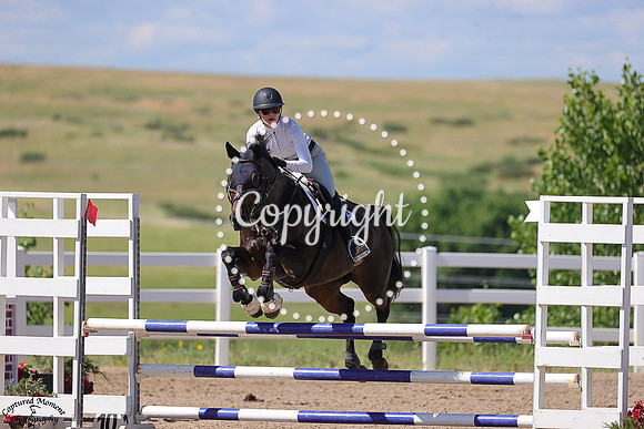 Governors_Rose_Bud_(686)_20250704_1503