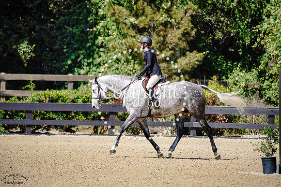 Cordolina_(774)_20250618_0360