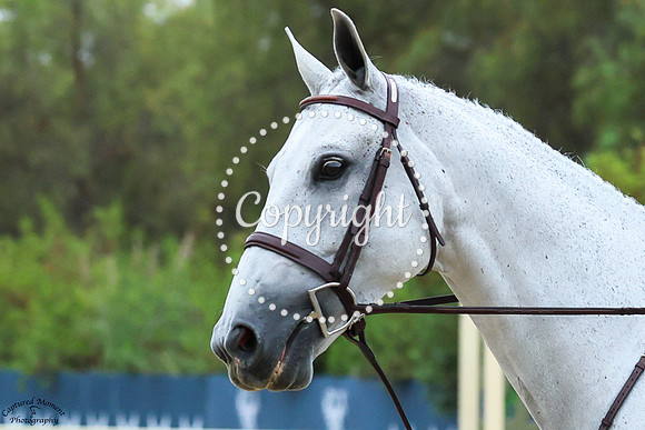 Faccia_Bello_(821)_20250723_0019