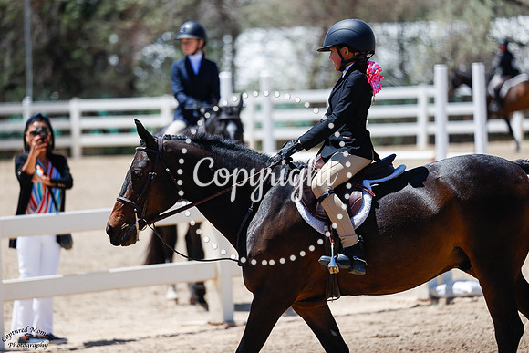 Piccole_Gambe_(504)_20250516_0550
