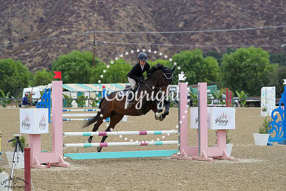 Kai_(206)_20241018_1421