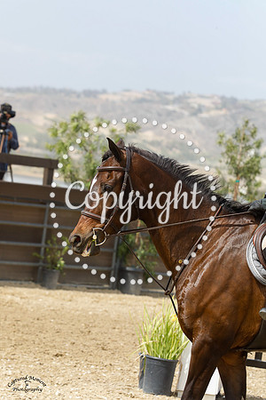 Jewels_(591)_20210520_0328