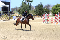 Diagon_(629)_20210520_5011