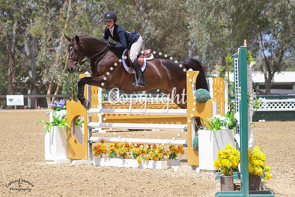 Mcdreamy_(637)_20210521_0024