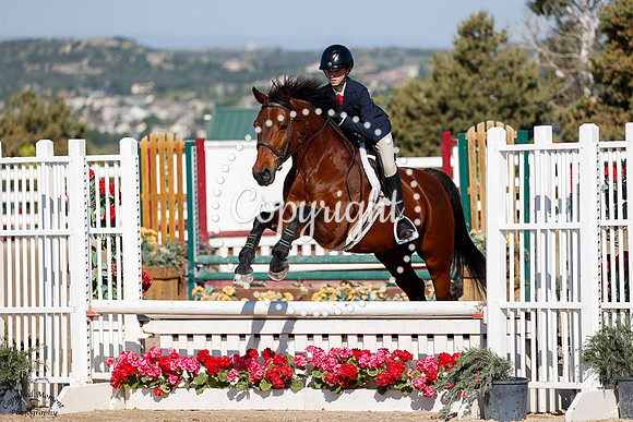 D_Lascivo_(1900)_20250620_2961