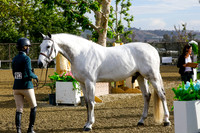 Mojito_(912)_20210526_0016