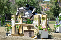 Mojito_(912)_20210526_7354
