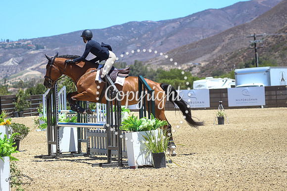 Millie_(865)_20210526_4661