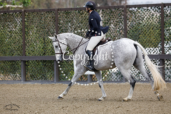 Q_(300)_20210526_0019