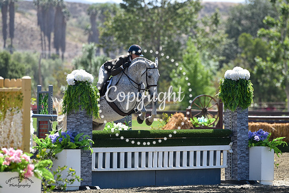 Q_(300)_20210526_7592