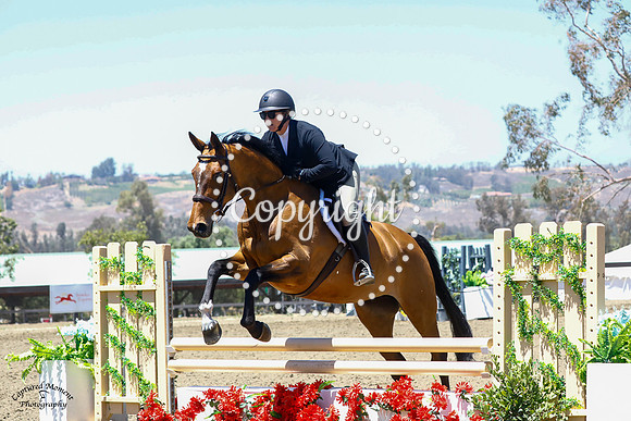 Good_Luck_(234)_20210526_0656