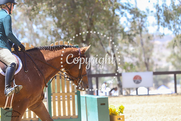 Spotlight_(487)_20210526_3674