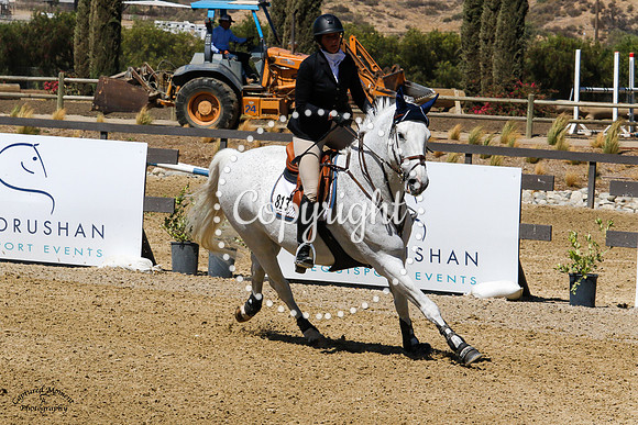 Cyon_Z_(813)_20210526_1966