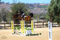 Bambali_(974)_20210526_4997