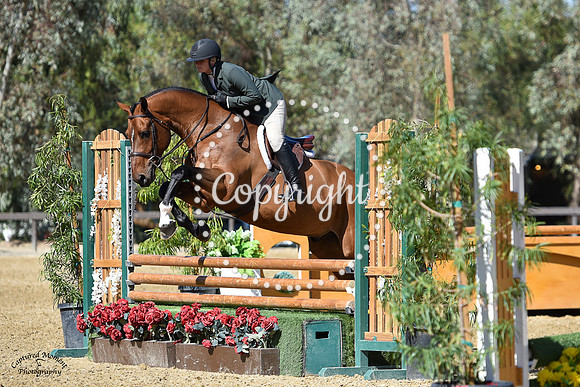 Elvenstar_Hans_(1227)_20210526_7932