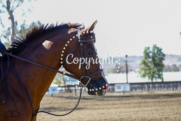 Coraline_(1180)_20210526_1106