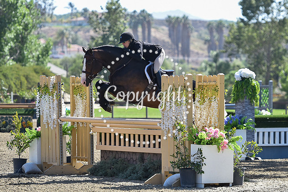 Gatsby_(1124)_20210526_7742