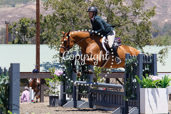 Mango_(1000)_20210528_6487