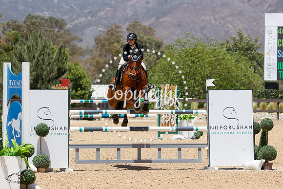 Chicharito_Blue_(462)_20210528_0976