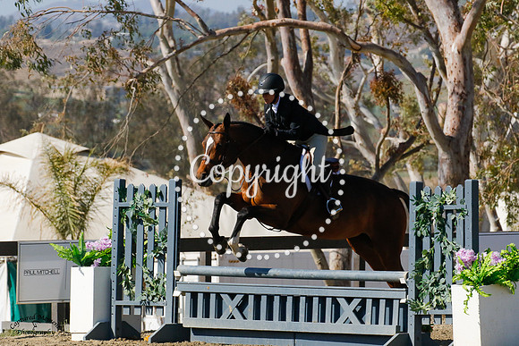Bellamy_(328)_20210530_2691