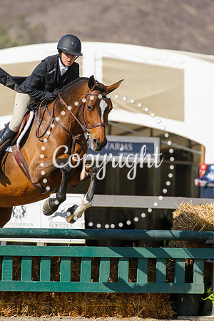 Bellamy_(328)_20210530_2697