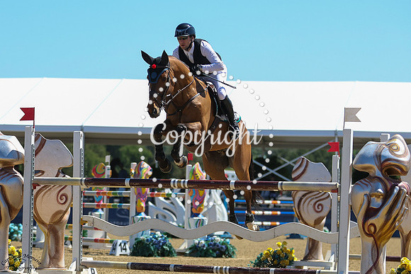 MARQUIS_LE_BEAU_COURALLY_(424)_20250510_5518