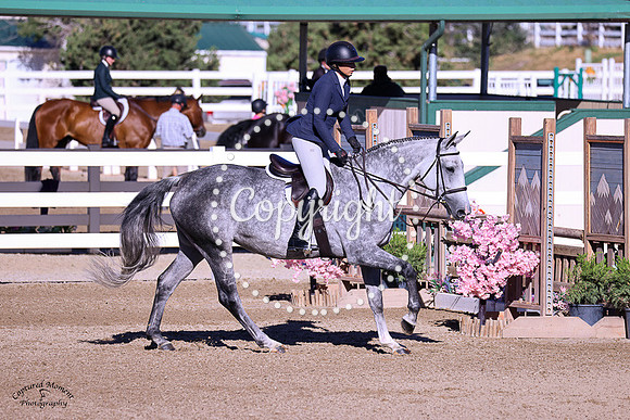 Cr_Gabriella_(110)_20230907_0147