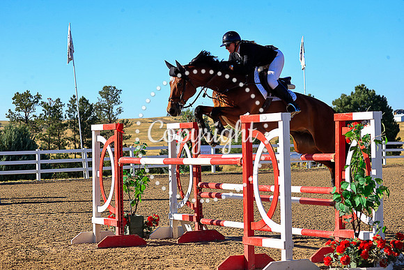 Havall_H_(452)_20230909_0539