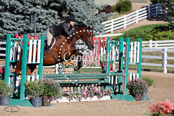 Watermark_(128)_20230907_2182