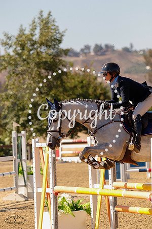 Unlimited_Olympic_(1206)_20210603_1513