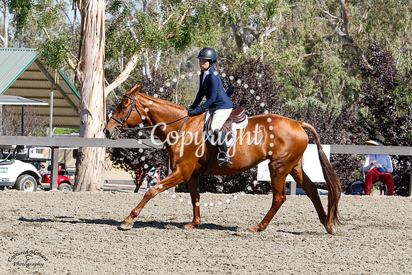 Ishta_Devata_(663)_20210604_4047