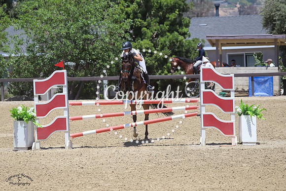 Lil_Dipper_(1387)_20210604_5345